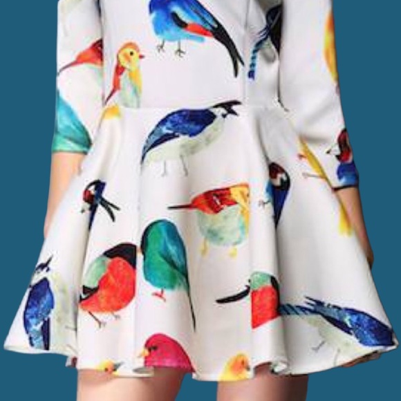 NWT White Peplum Drop Waist Multicolor Bird Print Scuba Mini Dress - Picture 10 of 10